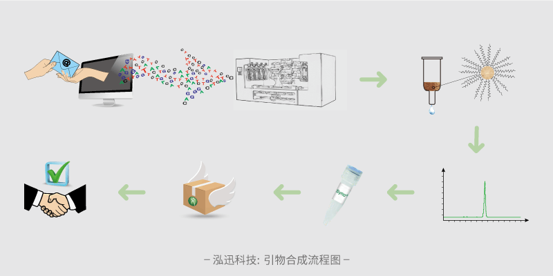 引物合成流程图