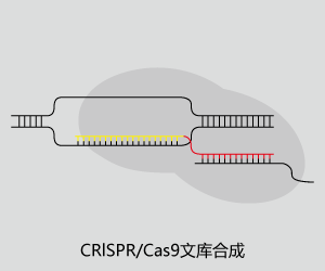 Cas9