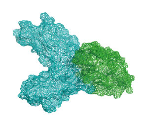 Protein Marker&As Cas12a(Cpf1)