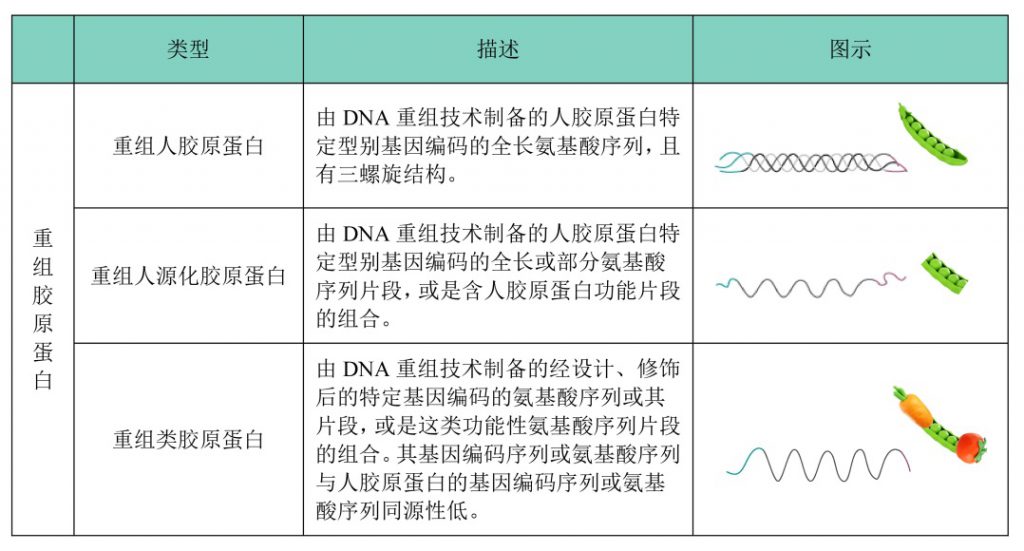 Classification-of-recombinant-collagen